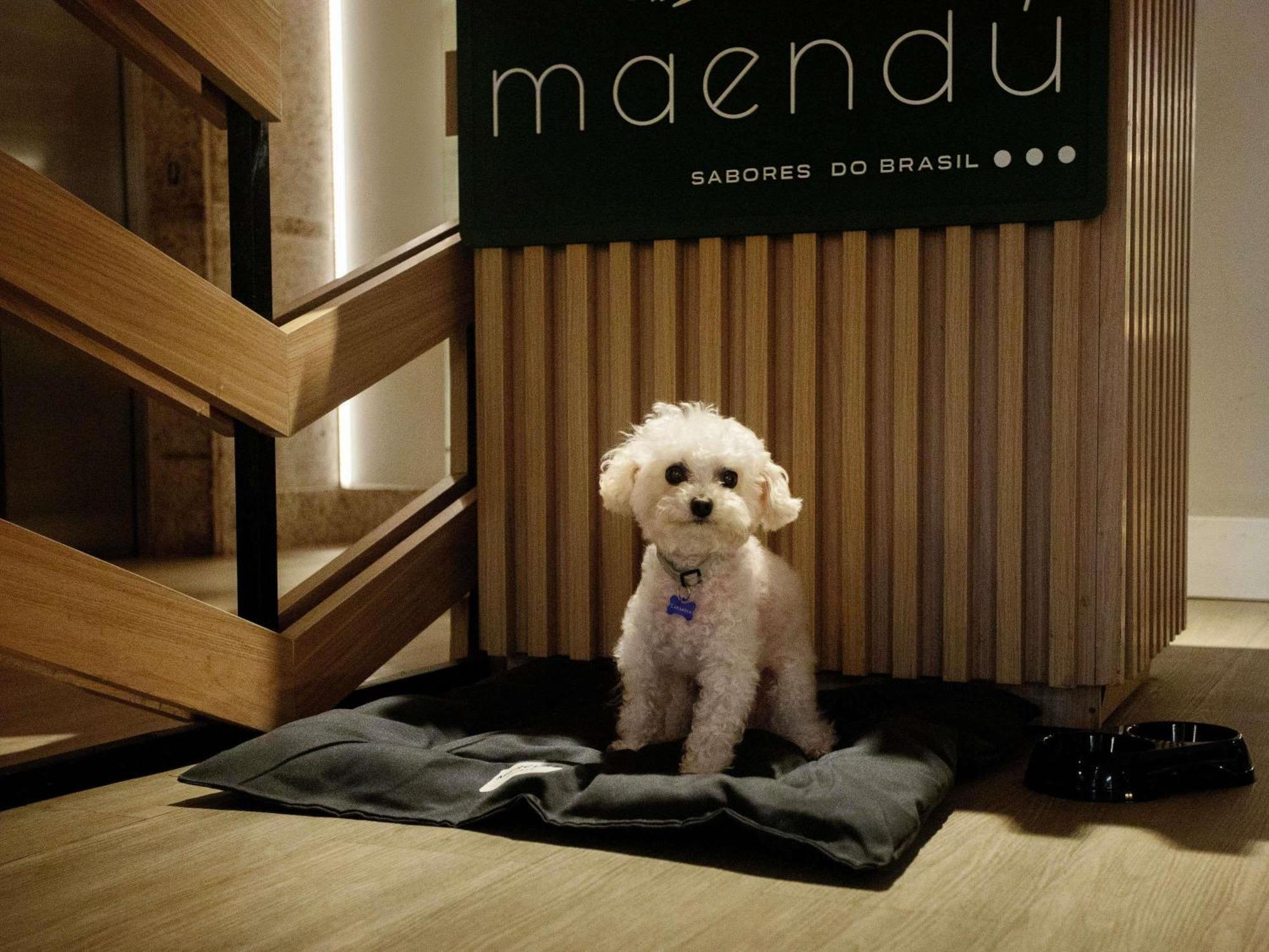 Hotel Mercure Pajuçara