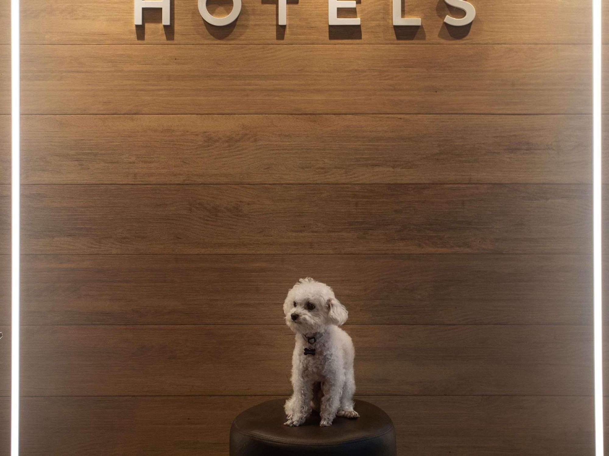 Mercure Pajuçara Hotel